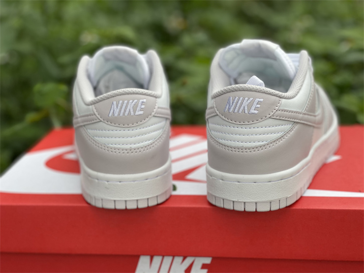 Nike Dunk Low Venice DD1503-116
