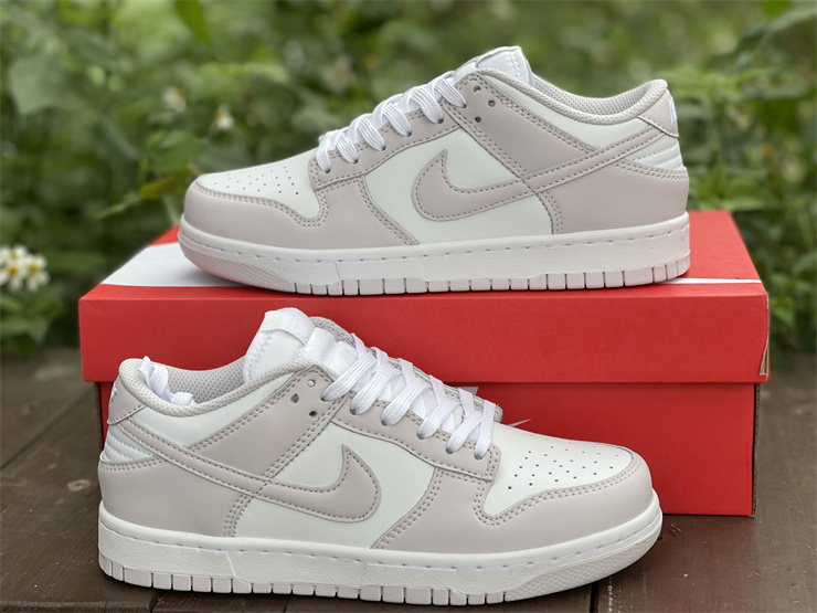 Nike Dunk Low Venice DD1503-116