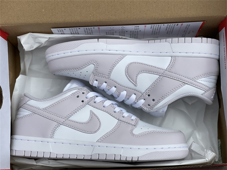 Nike Dunk Low Venice DD1503-116