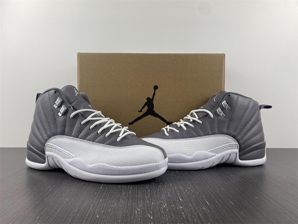 Jordan 12 Retro Stealth CT8013-015
