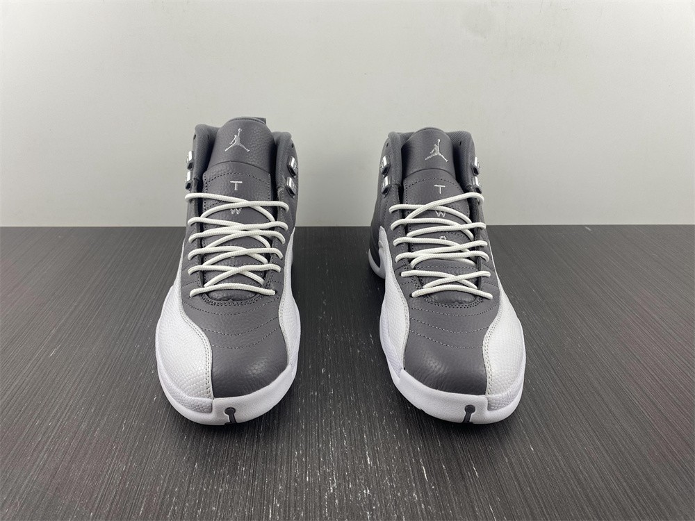 Jordan 12 Retro Stealth CT8013-015