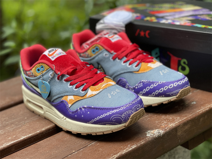 Nike Air Max 1 SP Concepts Far Out DN1803-500