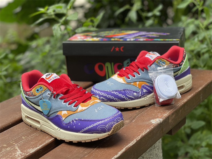 Nike Air Max 1 SP Concepts Far Out DN1803-500