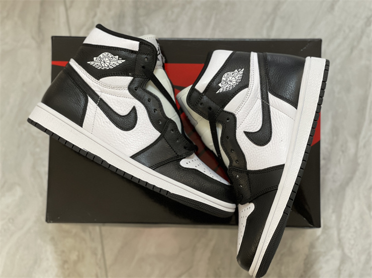 Jordan 1 Mid Split Black White (W) DR0501-101