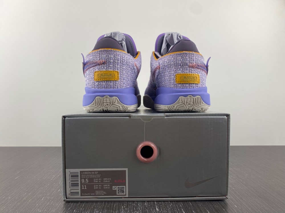 Nike LeBron 20 Violet Frost DJ5423-500