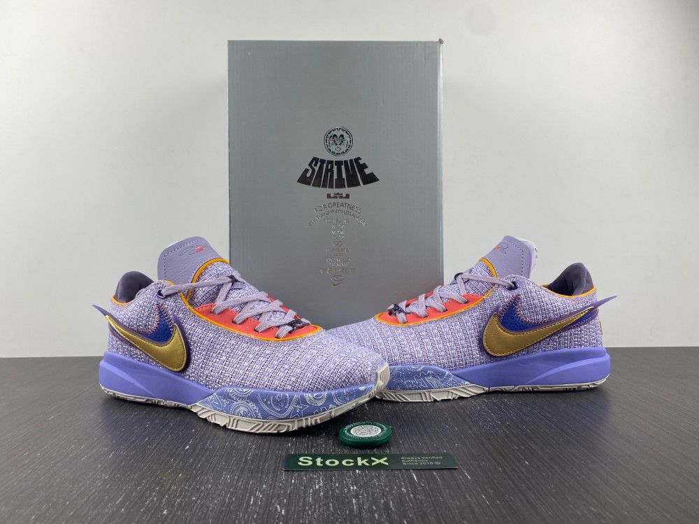 Nike LeBron 20 Violet Frost DJ5423-500