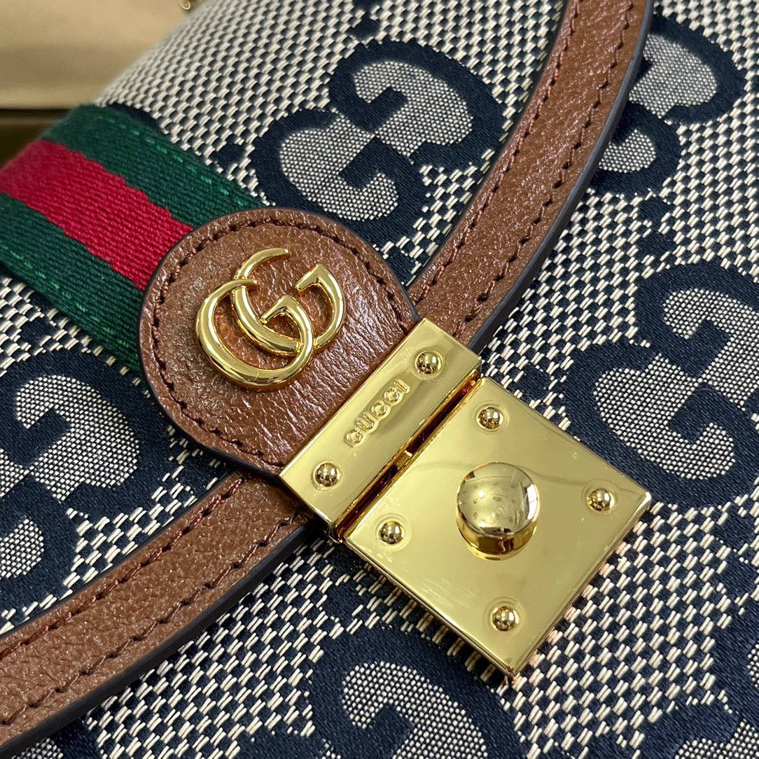 Gvcci Ophidia bag 25*17.5*7CM 2023051901