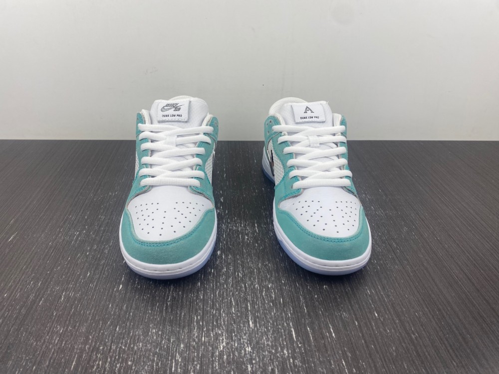 NIKE SB Low Dunk SDCAI FD2562-400