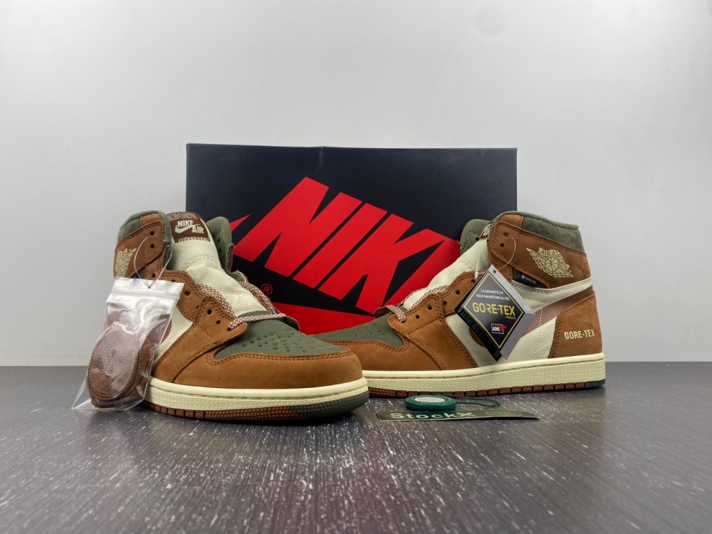 Air Jordan 1 Gore-Tex DB2889-100