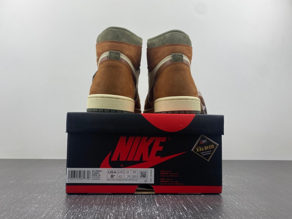 Air Jordan 1 Gore-Tex DB2889-100